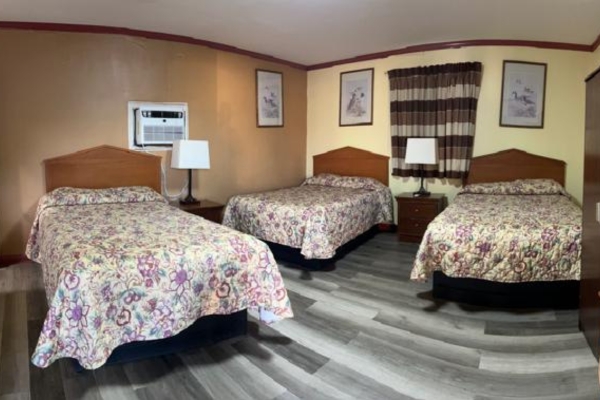Three Bed Room
